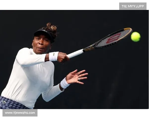 威廉姆斯速度网球挑战赛：探索网球极限速度与技巧的完美融合